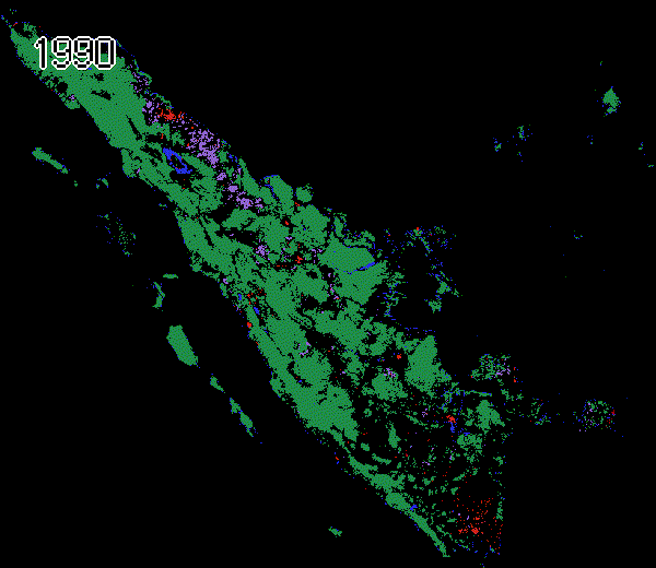 Animasi Deforestasi Sumatera